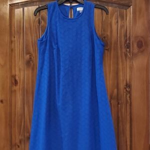 🆕️ Calvin Klein Embellished Dress